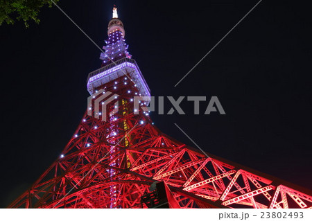 東京タワー『梅雨明けダイヤモンドヴェール』 23802493