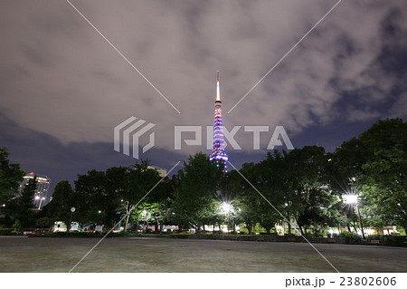 芝公園4号地からの『梅雨明けダイヤモンドヴェール』 芝公園4号地からの『梅雨明けダイヤモンドヴェール』 23802606