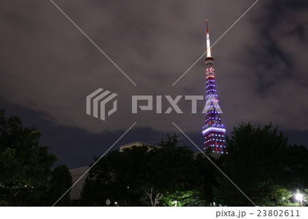 芝公園4号地からの『梅雨明けダイヤモンドヴェール』 芝公園4号地からの『梅雨明けダイヤモンドヴェール』 23802611