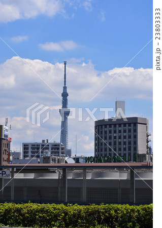 上野公園×東京スカイツリー 23803333