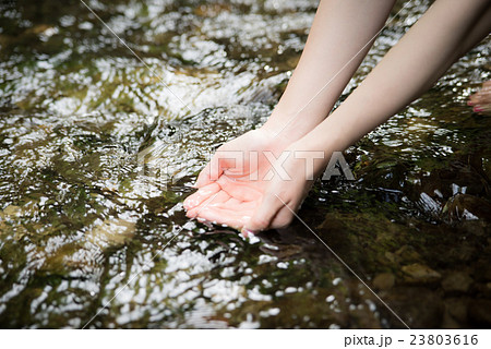 ビューティー　女性 23803616