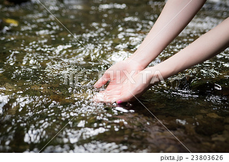 ビューティー 女性 ビューティー 女性 23803626