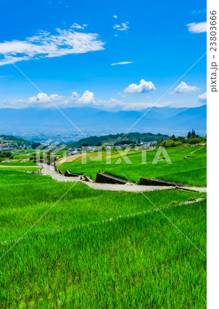 初夏の農村風景 (135) 初夏の農村風景 (135) 23803666
