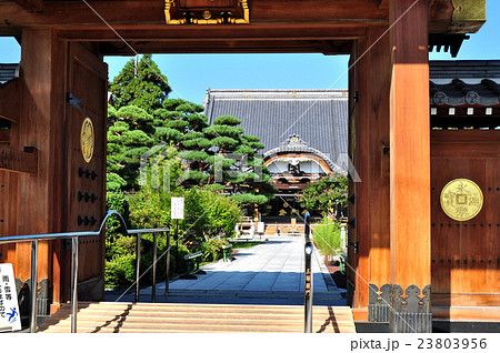 小松姫ゆかりの芳泉寺:上田市 小松姫ゆかりの芳泉寺:上田市 23803956