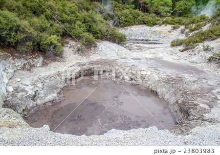 Devil's Ink Pots in Wai-O-Tapu Thermal Wonderland Devil's Ink Pots in Wai-O-Tapu Thermal Wonderland 23803983