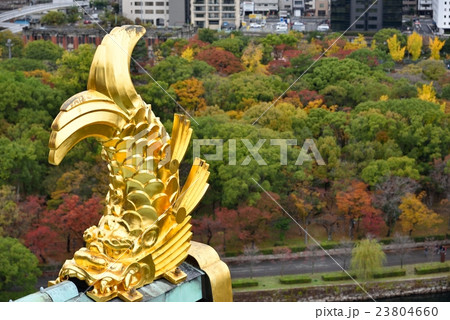 大坂城公園 23804660