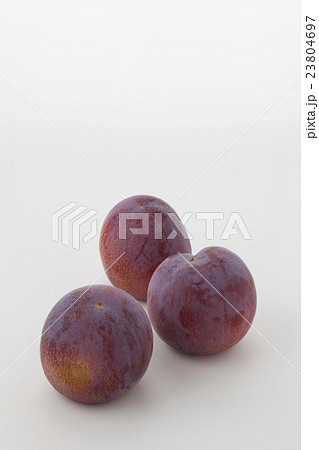 プラム貴陽3個 23804697