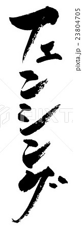 フェンシング　fencing 23804705