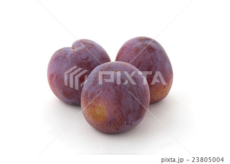 プラム貴陽3個 プラム貴陽3個 23805004