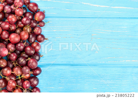 Red gooseberries 23805222