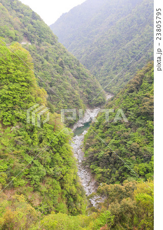 春の祖谷渓、徳島県三好市 23805795