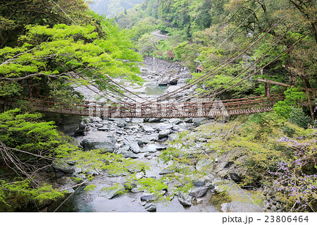 春の祖谷のかずら橋、徳島県三好市 春の祖谷のかずら橋、徳島県三好市 23806464