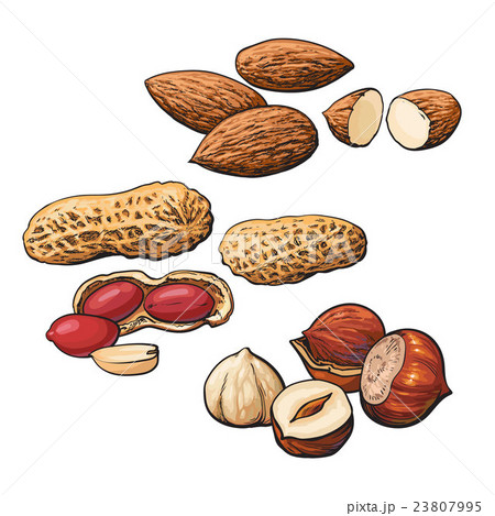 Collection of almond, hazelnut and peanut heaps Collection of almond, hazelnut and peanut heaps 23807995