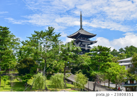 奈良興福寺 五重塔 奈良興福寺 五重塔 23808351