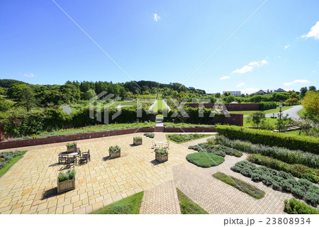 ゆにガーデン ゆにガーデン 23808934