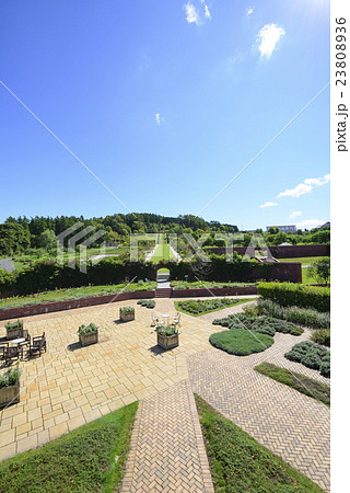 ゆにガーデン 23808936