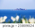 軍艦島と水仙 23809024