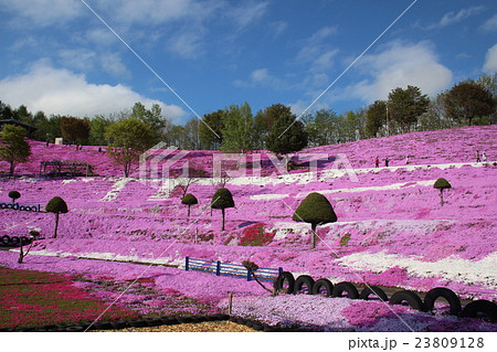 芝桜の丘（東藻琴芝桜公園） 23809128