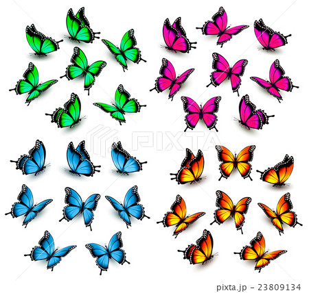 Collection of color butterflies. Vector 23809134