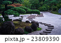 日本庭園　源心庵の松と砂利 23809390
