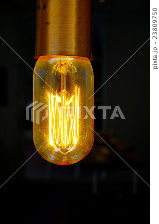 Hanging Light Bulb 23809750
