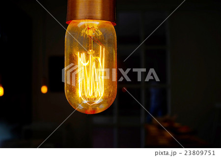 Hanging Light Bulb Hanging Light Bulb 23809751