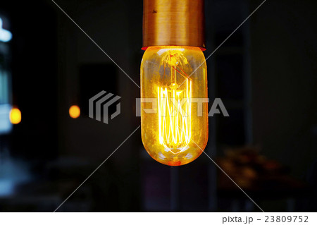 Hanging Light Bulb 23809752