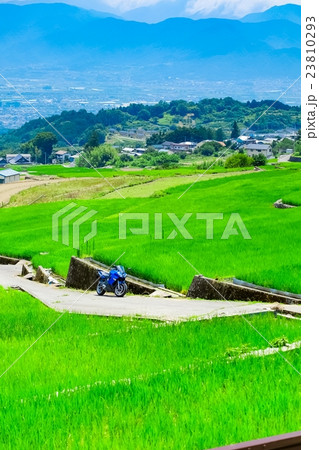 初夏の農村風景 (144) 23810293