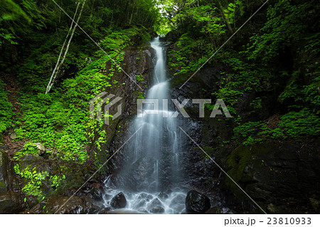 滝と新緑（愛媛県白糸の滝） 23810933