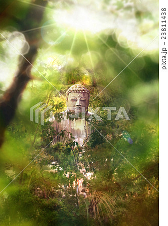 鎌倉市の大仏Giant Buddha of Kamakura in Japan. 鎌倉市の大仏Giant Buddha of Kamakura in Japan. 23811438