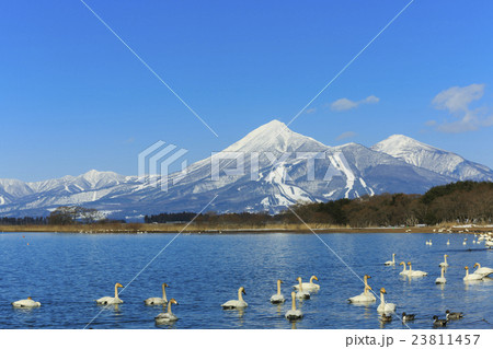猪苗代湖と磐梯山 猪苗代湖と磐梯山 23811457