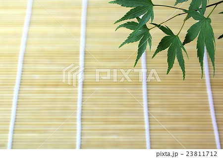 夏の背景素材 23811712