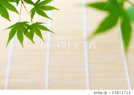 夏の背景素材 23811713