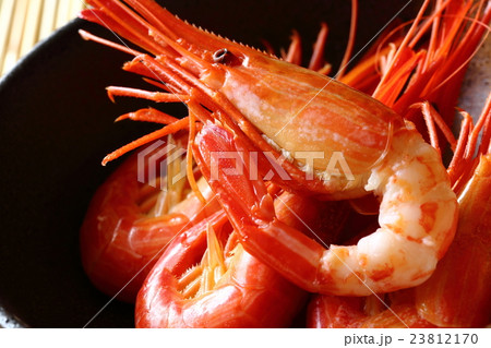 北海しまえび 23812170