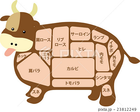 Name Of Beef Part Stock Illustration