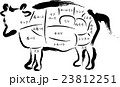 牛肉　部位の名称 23812251