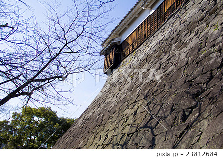熊本城 23812684
