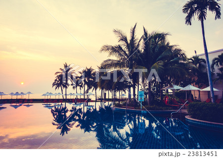 Silhouette palm tree on the swimming pool 23813451