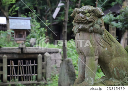 狛犬 23815479