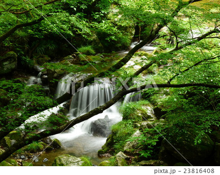 花園渓谷 花園渓谷 23816408