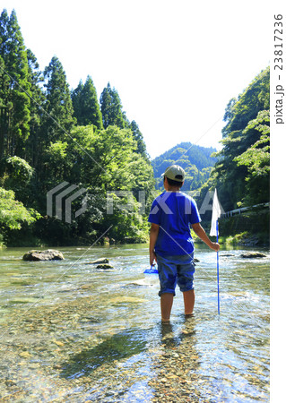 川遊びする男の子 23817236