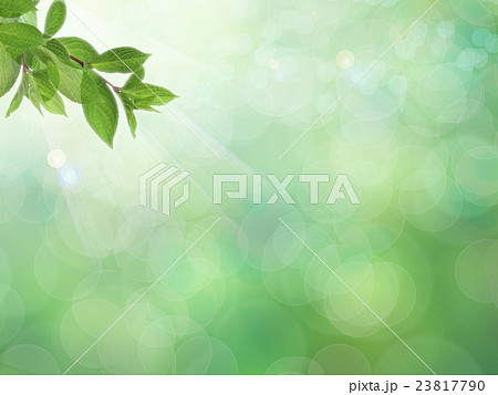 ナチュラル背景 23817790