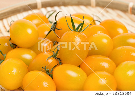 黄色いミニトマト 黄色いミニトマト 23818604