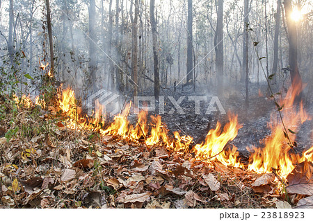 Destroyed by burning tropical forest ,Thailand 23818923