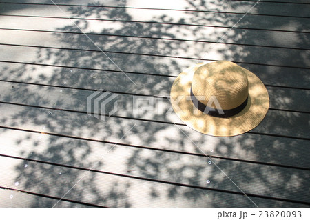 夏の陽射し 23820093