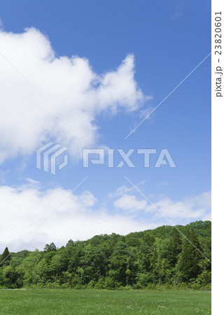 玉原高原の新緑 玉原高原の新緑 23820601