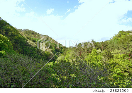 群馬県吾妻郡中之条町の写真 群馬県吾妻郡中之条町の写真 23821506
