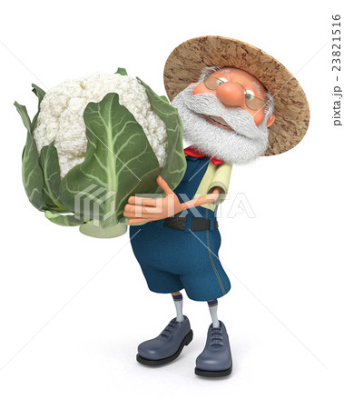 the elderly farmer costs with cabbage in the ope the elderly farmer costs with cabbage in the ope 23821516