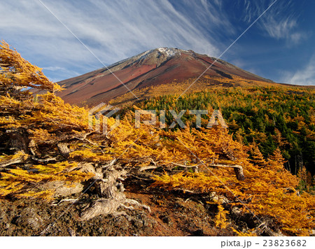 奥庭の秋富士 奥庭の秋富士 23823682