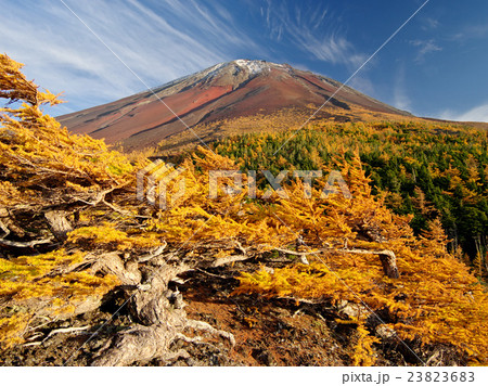 奥庭の秋富士 奥庭の秋富士 23823683